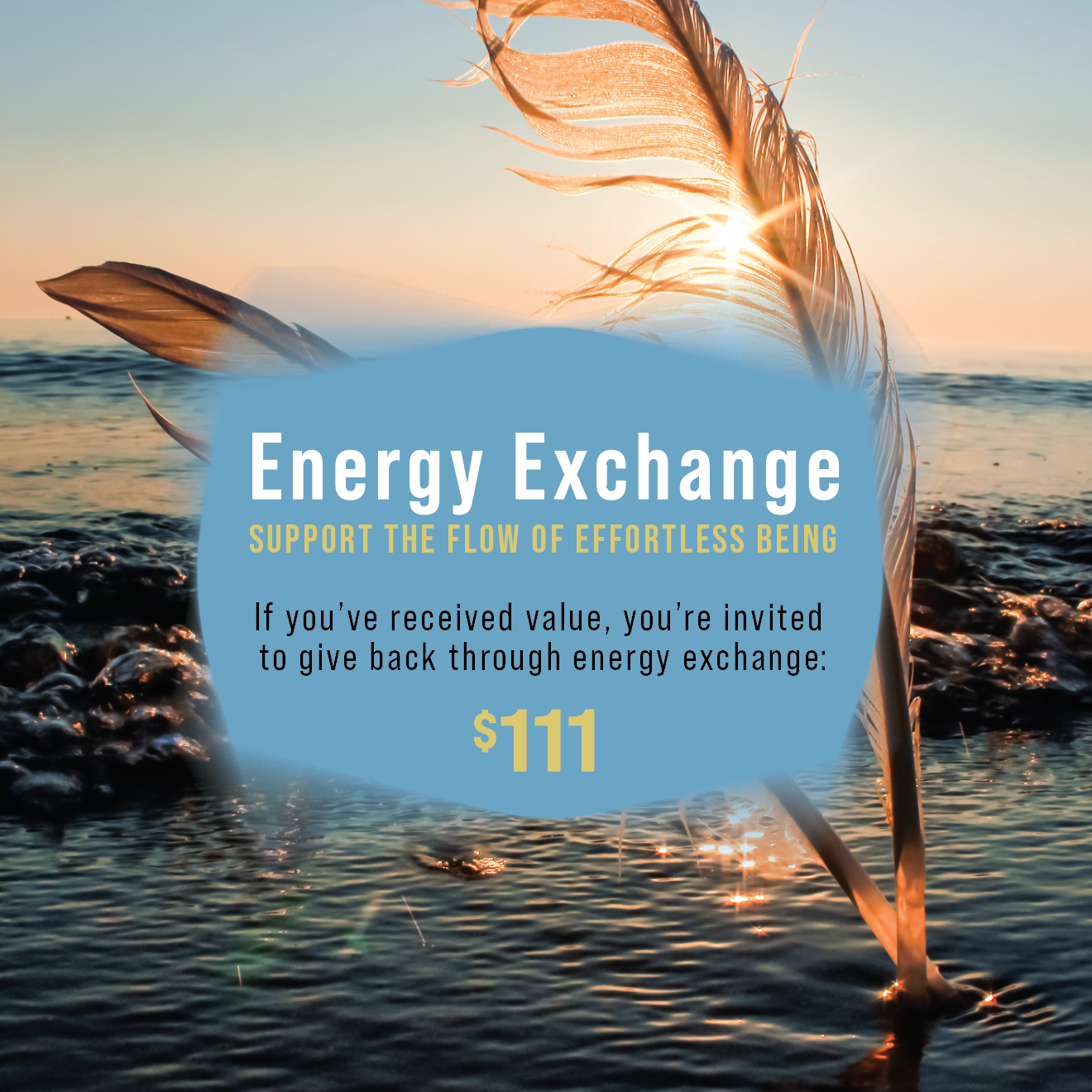 Energy Exchange: $111